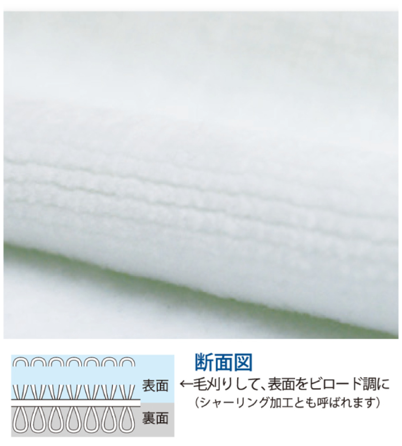 綿100エコタオル