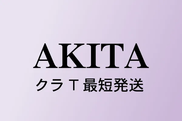 秋田県クラスTシャツ