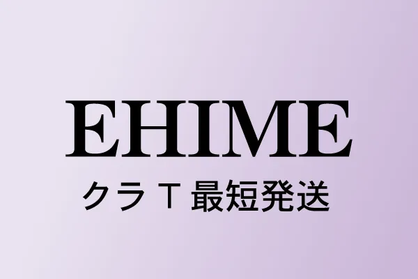 愛媛県のクラスTシャツ