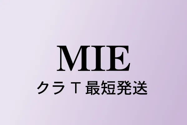 三重県のクラスTシャツ