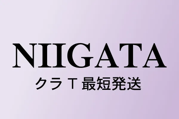 新潟県のクラスTシャツ